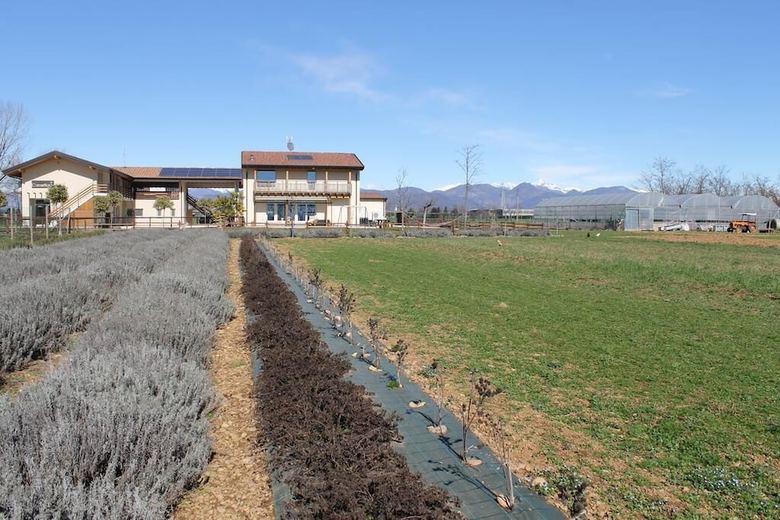 Comeback Rural Tourism