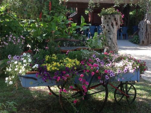 Aneton Aparthotel
