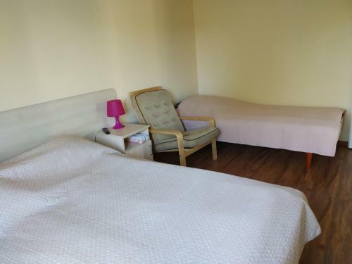 Guest House Kodikas Hostel