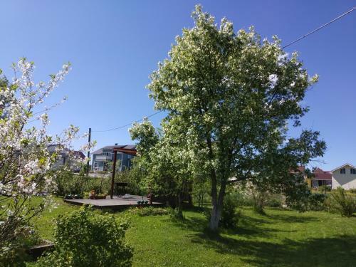 Guest House Kodikas Hostel