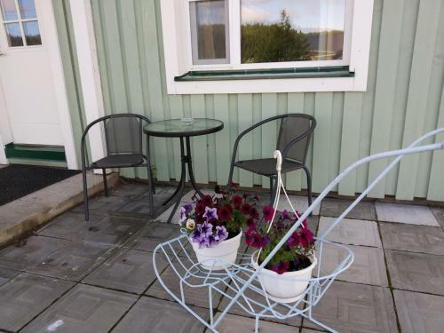 Guest House Kodikas Hostel
