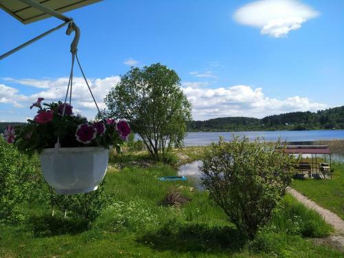 Lintu 2 Hostel