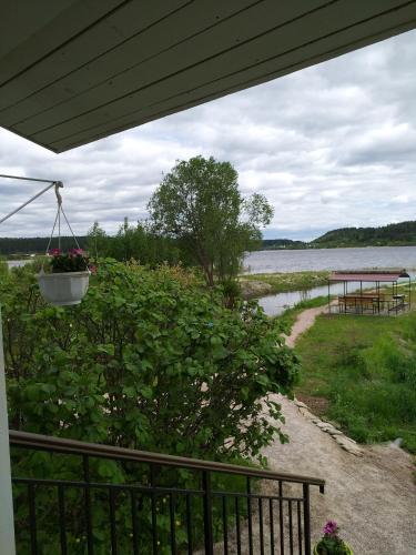 Lintu 2 Hostel