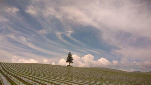 Pension Kinouta Lodge