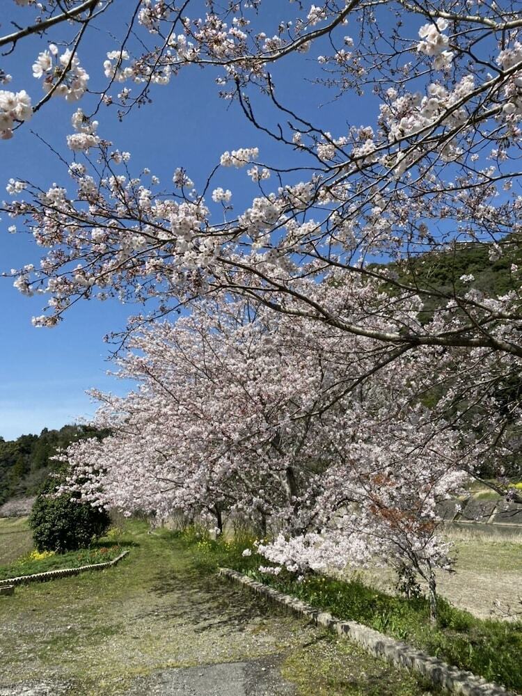 Yufuin Ryoan Wazanhou