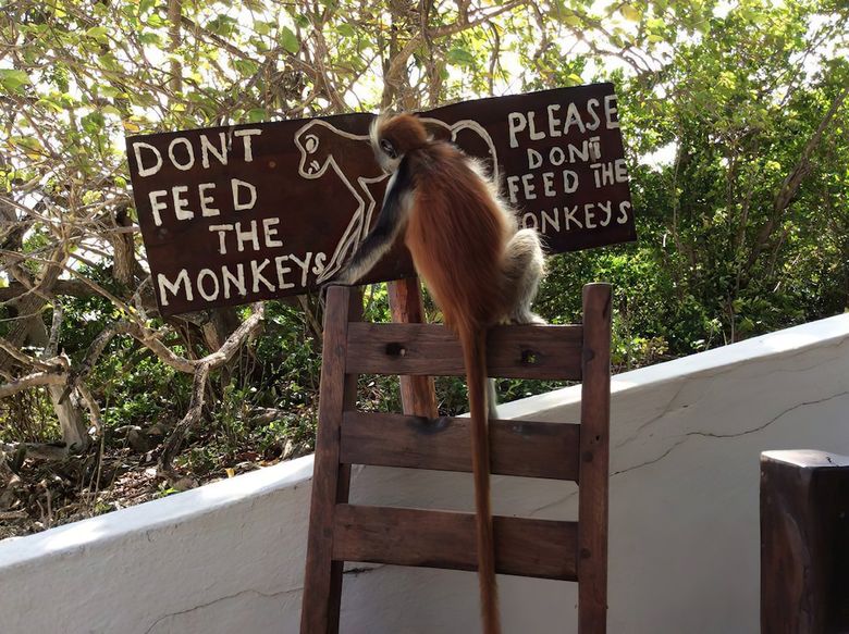 Red Monkey Lodge Inn