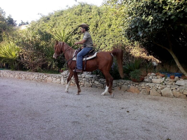 Casato Calabrese Bed & Breakfast