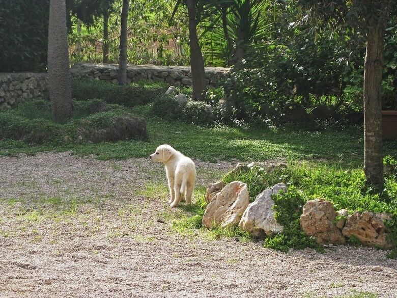 Casato Calabrese Bed & Breakfast