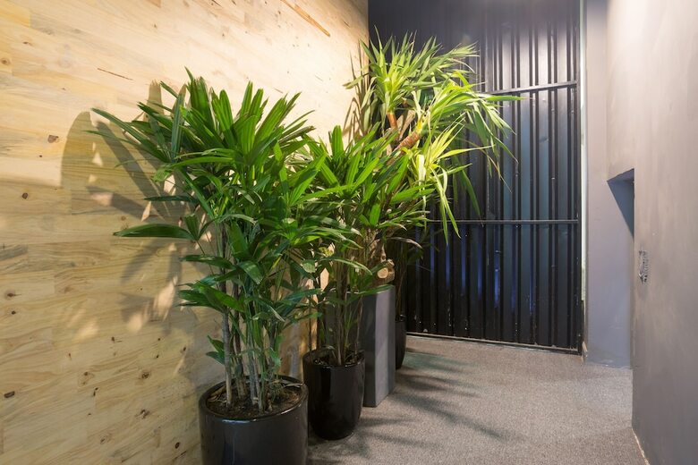 The Secret Garden Hostel