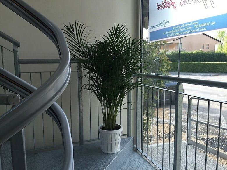 Treviso Rooms Bed & Breakfast