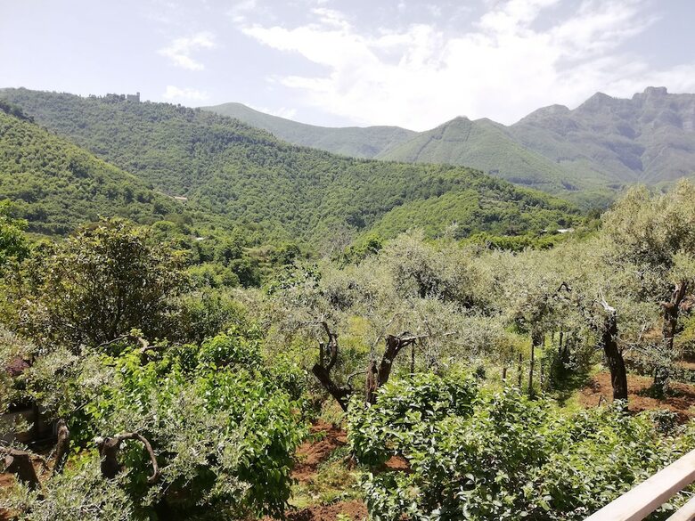 Il Giardino Bed & Breakfast