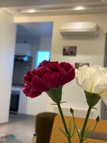 Residence Haouari Apartment