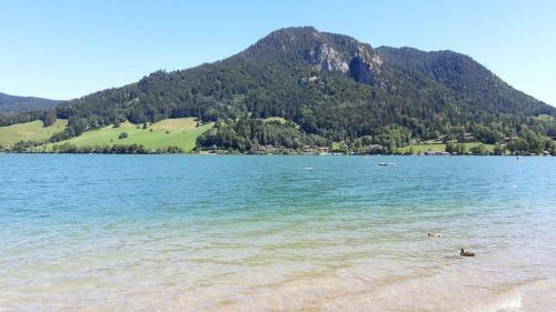Wilhelm Martin Rural Tourism