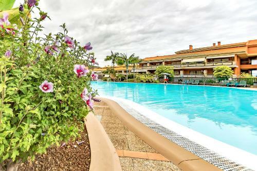 Piscinas Del Teide Apartment