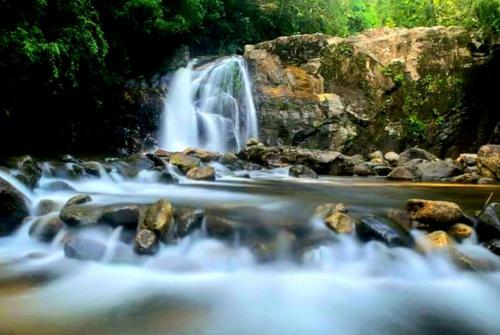 Rainforest River Bay Hostel