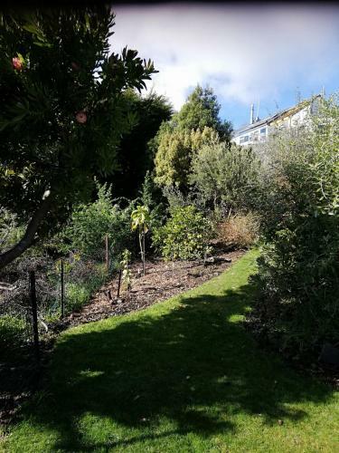 Whaka Heights Bed & Breakfast