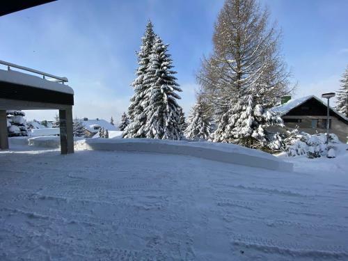 Apartm�ny Laura Villa