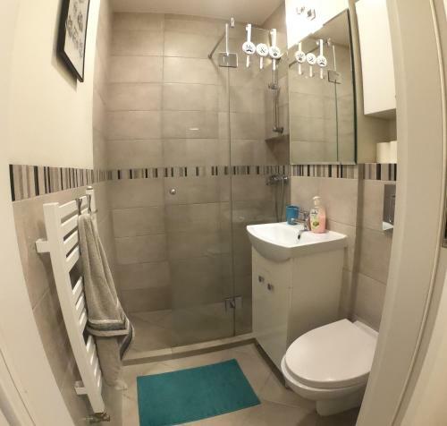 City Center Apartment