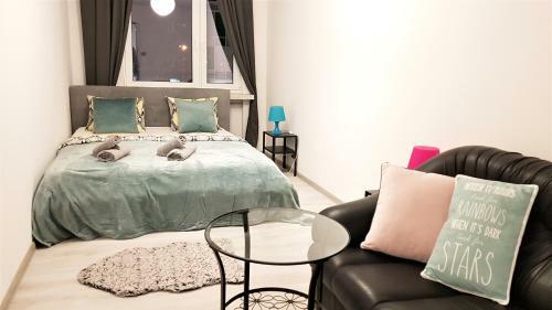 City Center Apartment