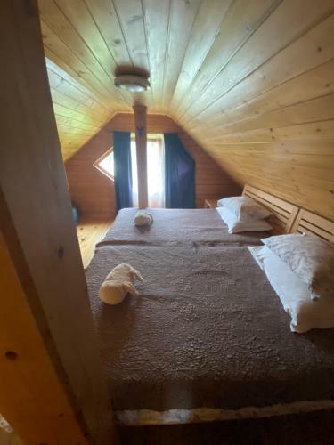 Wooden Cottage Hostel