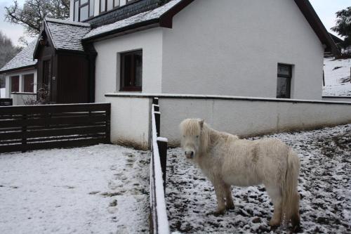 Highgarry Cottage Rural Tourism