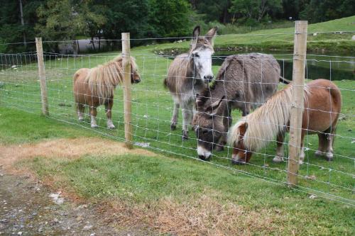 Highgarry Cottage Rural Tourism
