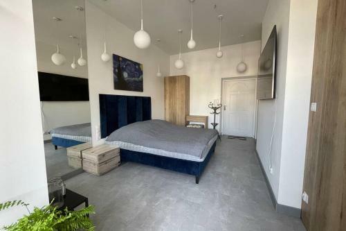 Studio Wojewodzka Apartment