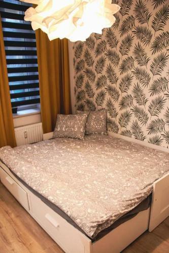 Apartament Kattowitz