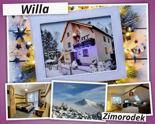 Zimorodek Apartment