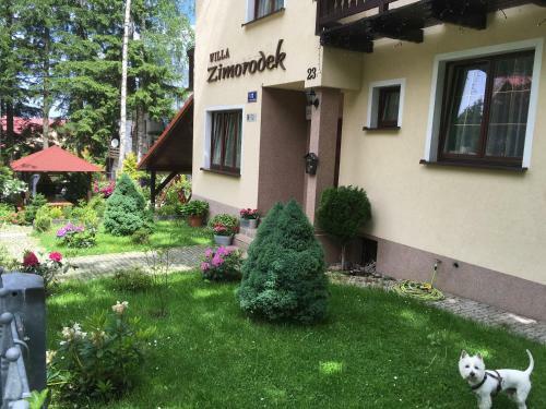 Zimorodek Apartment