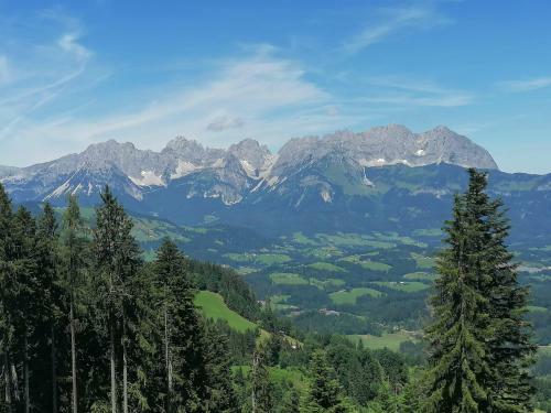 Haus Manfred Apartment