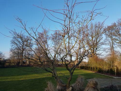Appartement Gartenblick Apartments