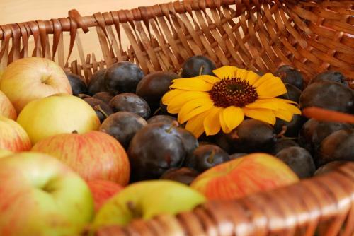 Vintlerhof Rural Tourism