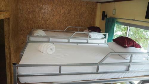 Chaokoh Phi Phi Resort And Dorm Room Hostel