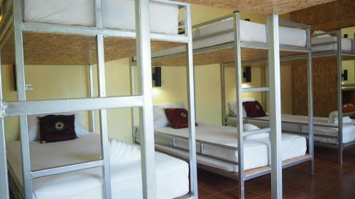 Chaokoh Phi Phi Resort And Dorm Room Hostel