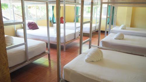 Chaokoh Phi Phi Resort And Dorm Room Hostel
