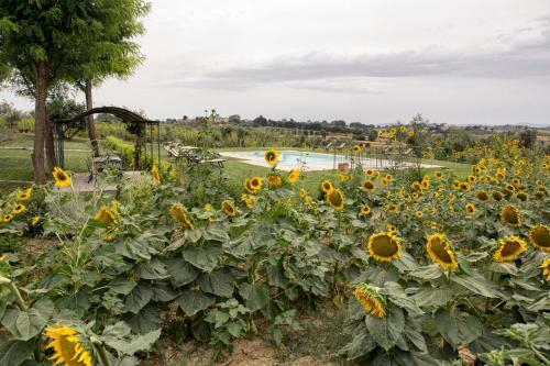 Villa Milluzzi