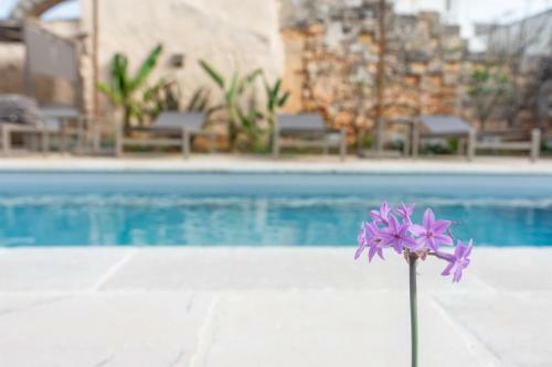 Palazzo Frangipane Bed & Breakfast