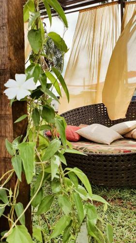 Chal�s E Camping Bela Vista Hostel