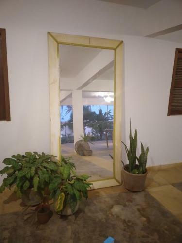 Vila Saguaro Hostel