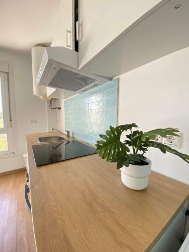 Indigo Apartment