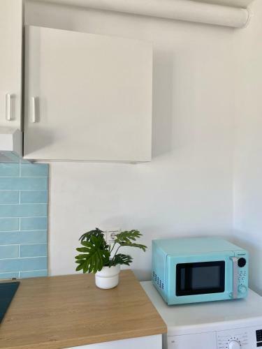 Indigo Apartment
