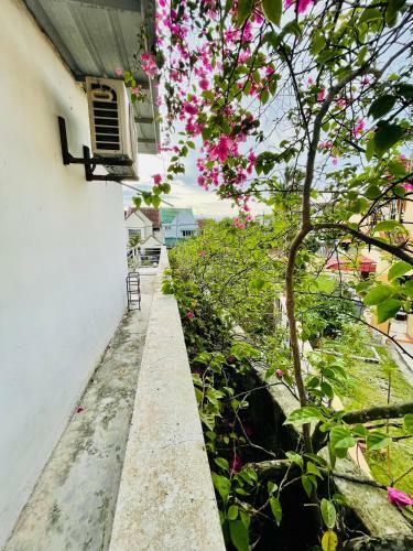 Rooftop Garden Cottage Villa