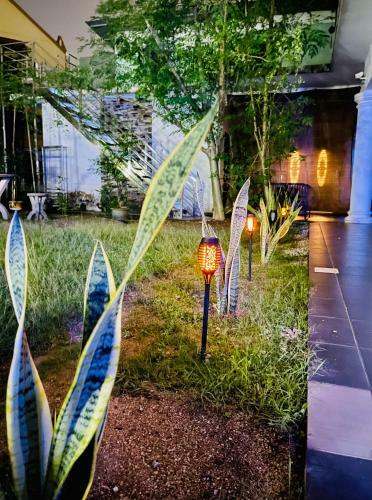 Rooftop Garden Cottage Villa