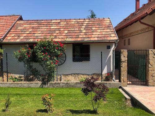 Csaol Apartman H�z