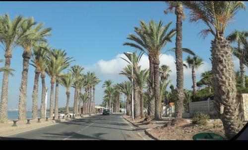 Sunset El Pinar Apartment