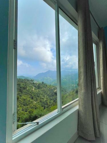 High And Seek Bed & Breakfast