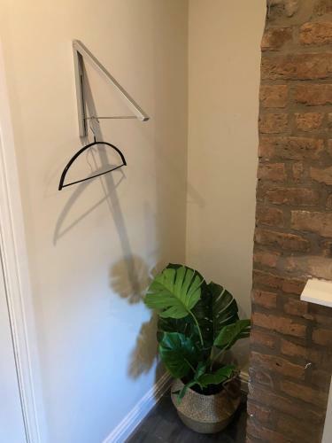 Bold Street Liverpods Apartment