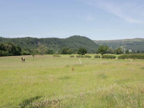 The Bar Suite Apartments