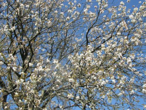 Les Charmes Du Petit Pr� Hostel